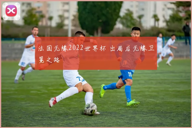 法国无缘2022世界杯 出局后无缘卫冕之路